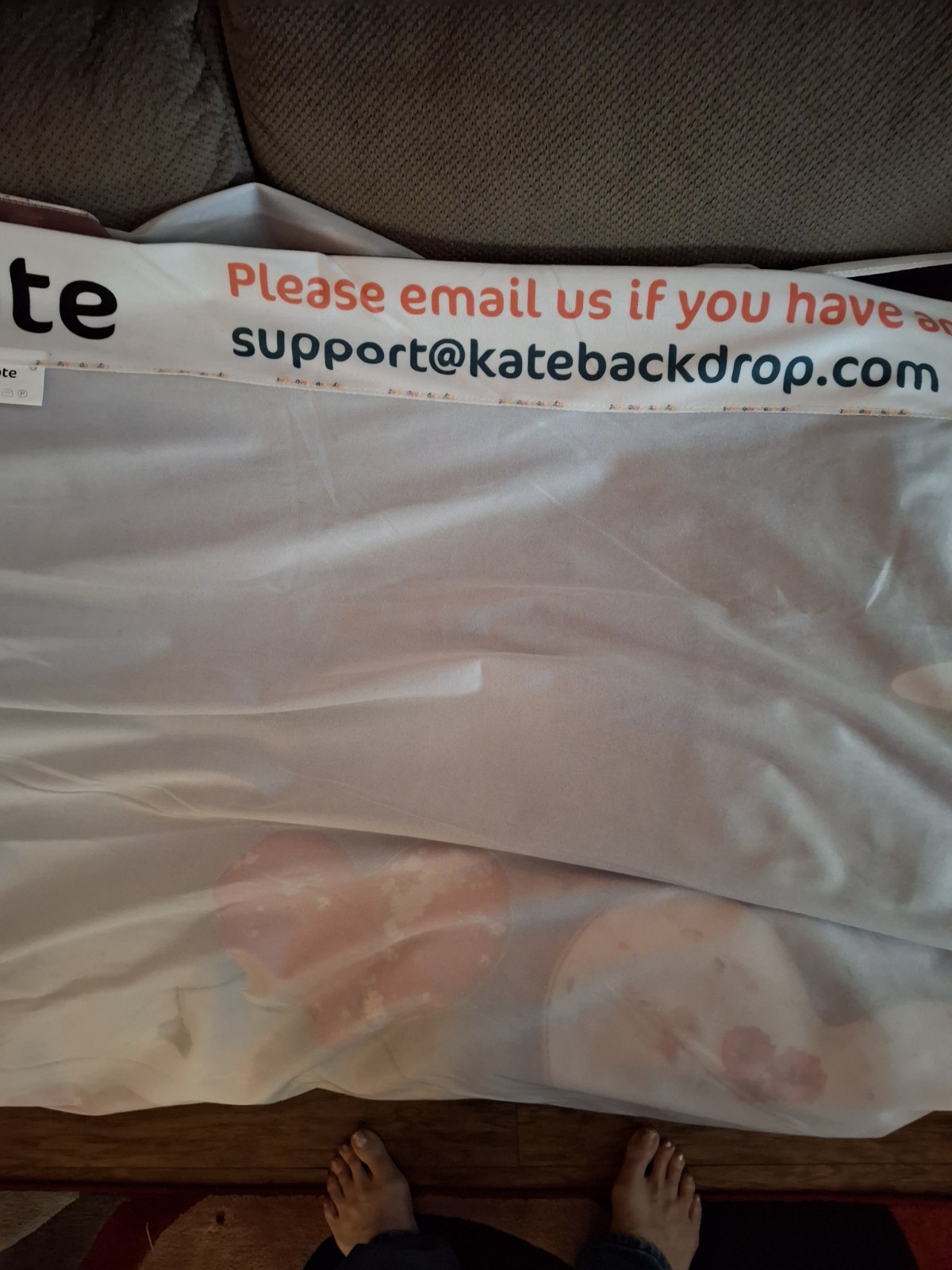 Kate Large backdrop Hearts 10 ft X 6.5 ft